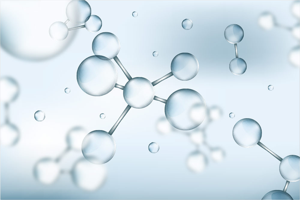 Hyaluronic Acid Factory